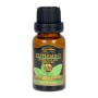 Olio Essenziale Peppermint Arganour (15 ml)