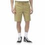 Pantaloncino Dickies Cobden Khaki Cachi