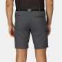 Pantaloncino Sportivo Regatta Xert StrShort III Grigio Montagna