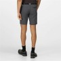 Pantaloncino Sportivo Regatta Xert StrShort III Grigio Montagna