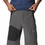 Pantaloncino Sportivo Columbia Silver Ridge Montagna Grigio scuro