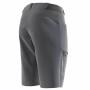 Pantaloncino Sportivo Salomon Wayfarer Montagna Grigio